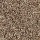Horizon Carpet: Perfectly Composed (F) Birch Bark (F)